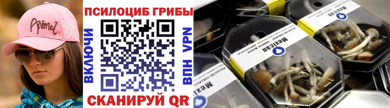 где купить наркоту Балаково Галлюциногенные грибы GOLDEN TEACHER